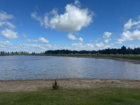 Terreno en  Campo de Roca 2