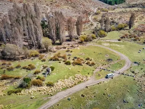 Campo en  San Martin de los Andes