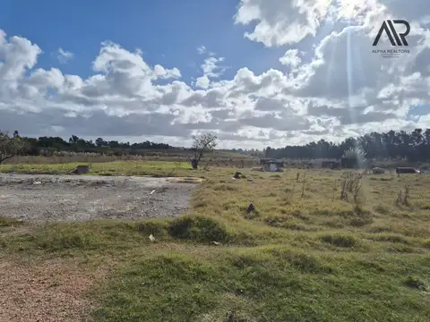 Camino América