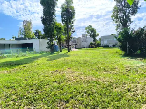 Alvarez del Bosque