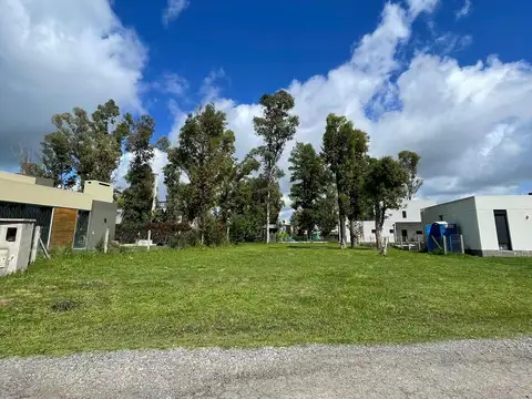 Terreno en Venta en Alvarez Del Bosque, USD 60.000