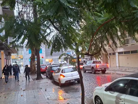 Martiniano Leguizamón 100, Piso 1