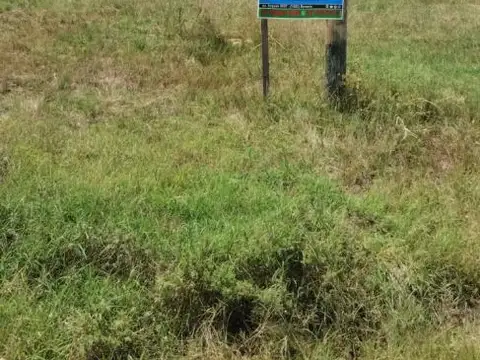 RIVADAVIA 100