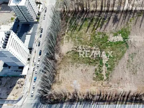 Terreno en Alquiler de 13000,0 m2