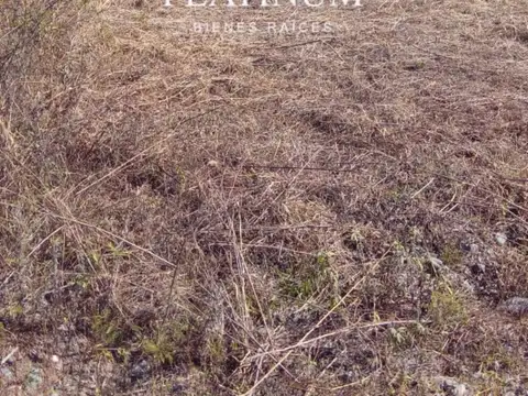 Terreno en Venta en Campo Quijano, USD 10.000