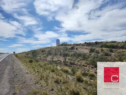 Ruta 40 Anchoris