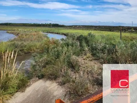 Ruta 40 Anchoris