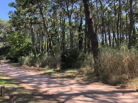 Terreno en Venta de 3000,0 m2