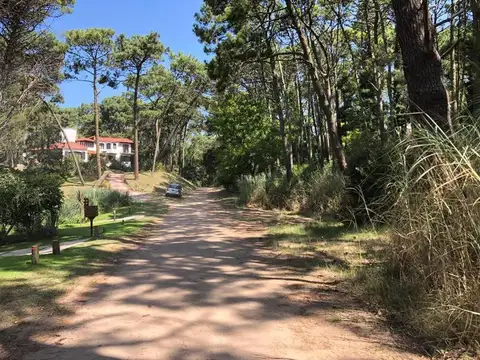 Terreno en Venta en Carilo, USD 480.000