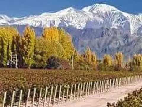 Lote en Venta, Mendoza, Tupungato, Ruta Provincial 88