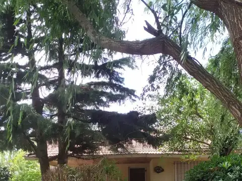 Casa ubicada sobre la calle Orence