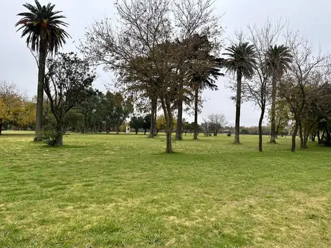Terreno en Venta 30  mts Fondo