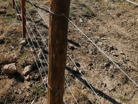 Terreno en Venta 37  mts Frente