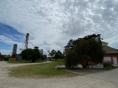 Planta Agrícola