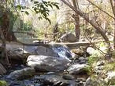 Terreno en San Javier