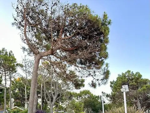 Casa Chalet  en Venta en Pinamar, Costa Atlántica, Buenos Aires