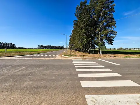 Terreno en Venta 12  mts Frente