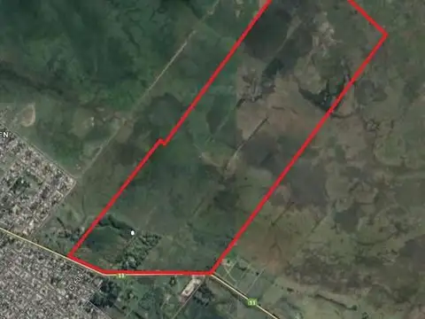 Ruta  11