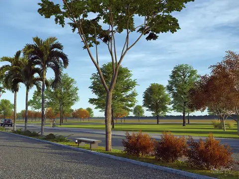 TERRENO PRADERAS