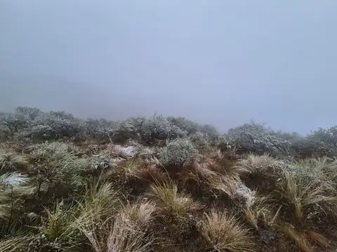 Cam. a La Cumbre km 15, Agua de Oro, Córdoba
