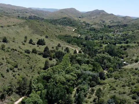 VENTA CAMPO 277HAS ARRYO CNO LA CUMBRE AGUA DE ORO