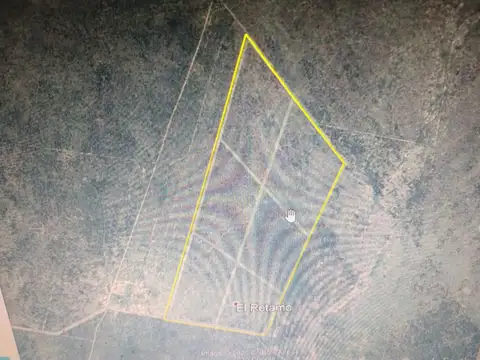 Campo - Candelaria