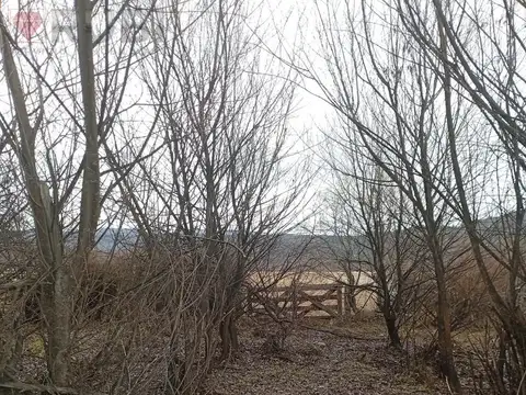 Terreno en Venta 50  mts Fondo