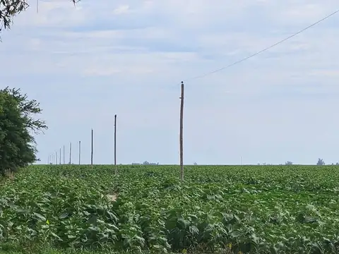 VENTA CAMPO MIXTO/SOUTOMAYOR DEP. LAS COLONIAS.