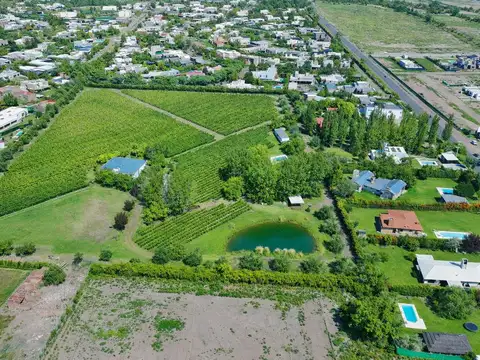 Inportante Finca Ubicada en Maipu para desarrollo inmobiliario o enoturistico