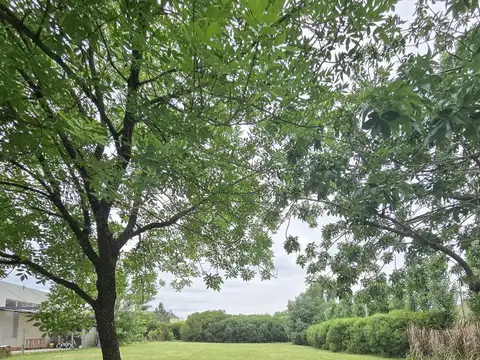 Barrio Santa Catalina Villanueva