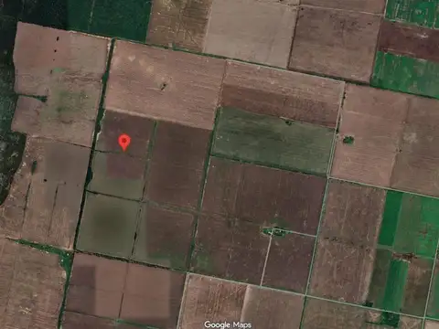 Campo argentino Suelo 3 - Colonia Diez de Julio