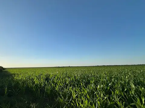 30°28'55.4"S 62°10'47.5"W