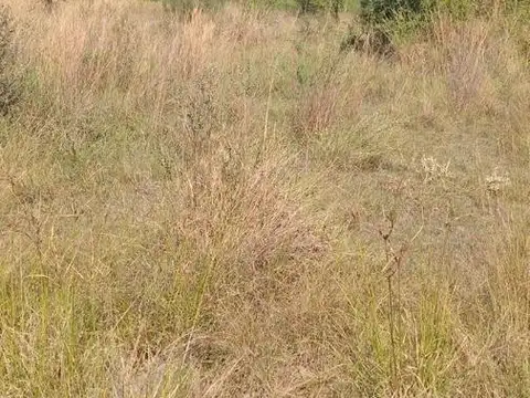 Lote en Corrientes Bancario 20x50 Ruta12 Ruta 98 1000 mt2