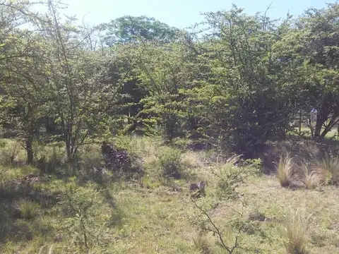 Terreno en Venta 45  mts Fondo