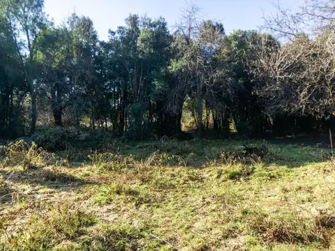 Terreno a Orillas del Rio Quenquentreu