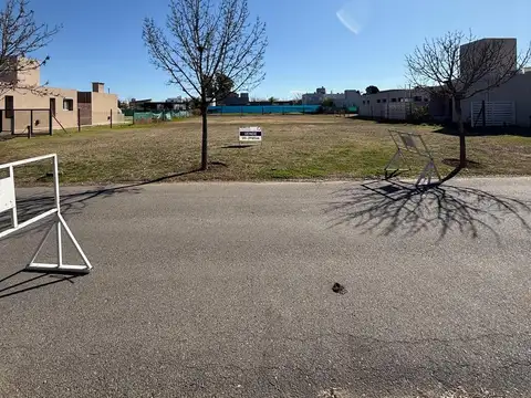 Mauricio Revigliono al 100