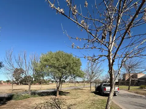 Terreno en Venta 50  mts Fondo