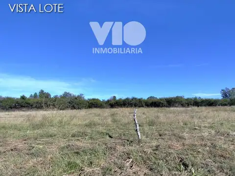 J. M. de Rosas casi Los Inmigrantes
