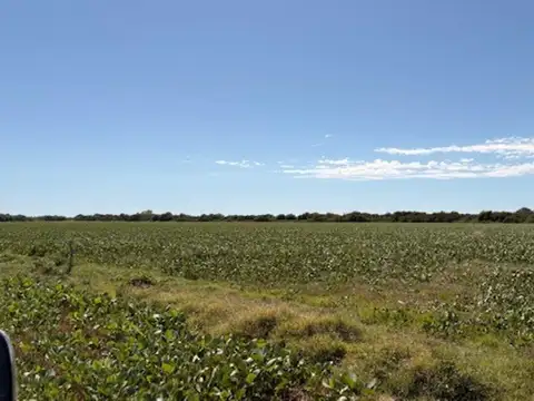 Campo en Venta de 38  ha