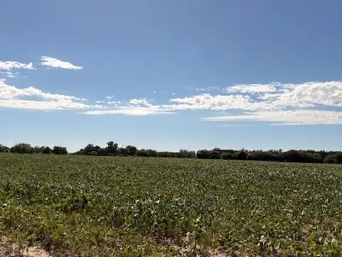 Campo 38 hec Agricolas - industrias bajo impacto Ramallo