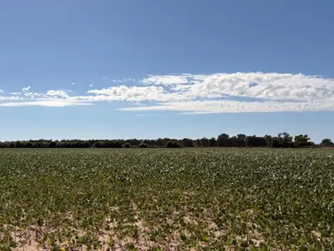 Camino De La Costa Ramallo