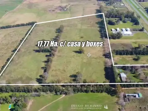 CAMPO EN PANAMERICANA ZARATE