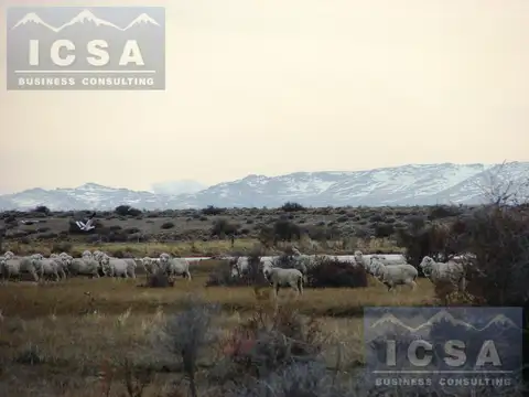 Río Senguer - 7.584 hectáreas