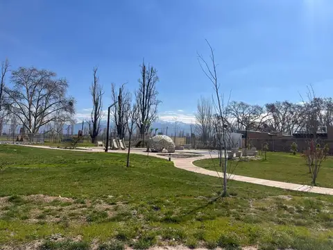 Lote Quattro Viamonte