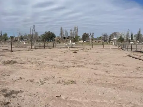 Lote Quattro Viamonte