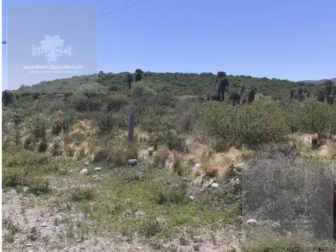 Campo - San Fco Del Monte De Oro