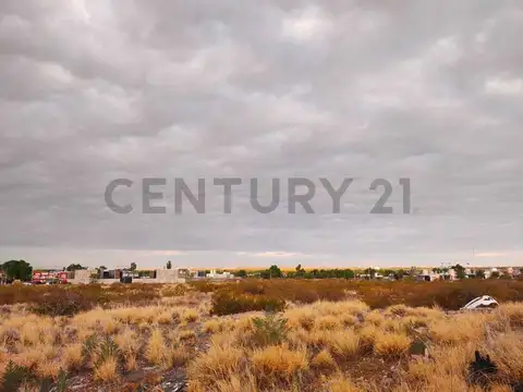 Rio diamante S/N , Piso 0