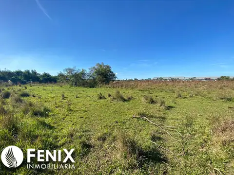 TF610 - TERRENO/HECTÁREA EN VENTA Z/ NEMESIO PARMA