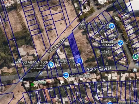 LAS HIGUERITAS 1500