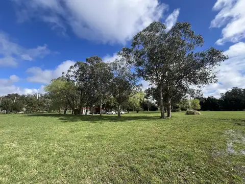 Quinta en Alquiler A Estrenar